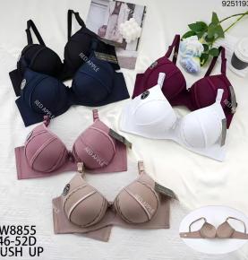 Stitched‑Line Push‑Up Plus‑Size Bra With Six Color -8855Options