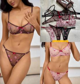 Floral Embroidery Mesh Lingerie Set-5618